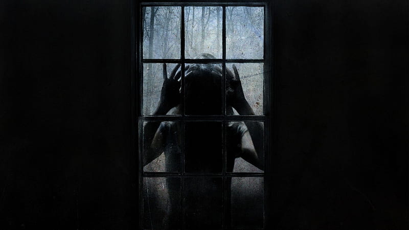 Fear Fills Me With Revulsion, fear, window, darkness, scary, horror, scared, fright, night, HD wallpaper