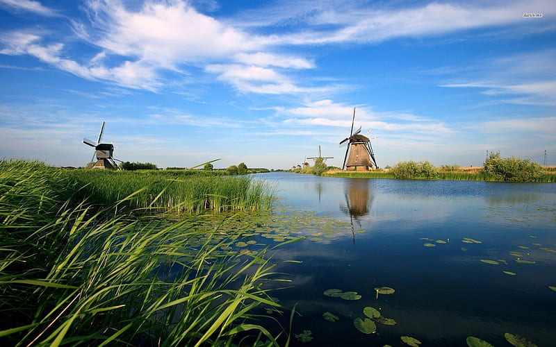 Windmills from a distance, mush, lakes, grass, windmills, sky, beauty, nature, reflection, blue, HD wallpaper