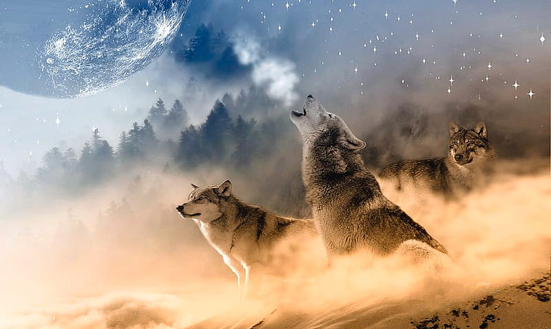 Cry of The Wolves, wilderness, fantasy, dreamy, Moon, Scenic, wolf, wolves, howling, Forest, HD wallpaper