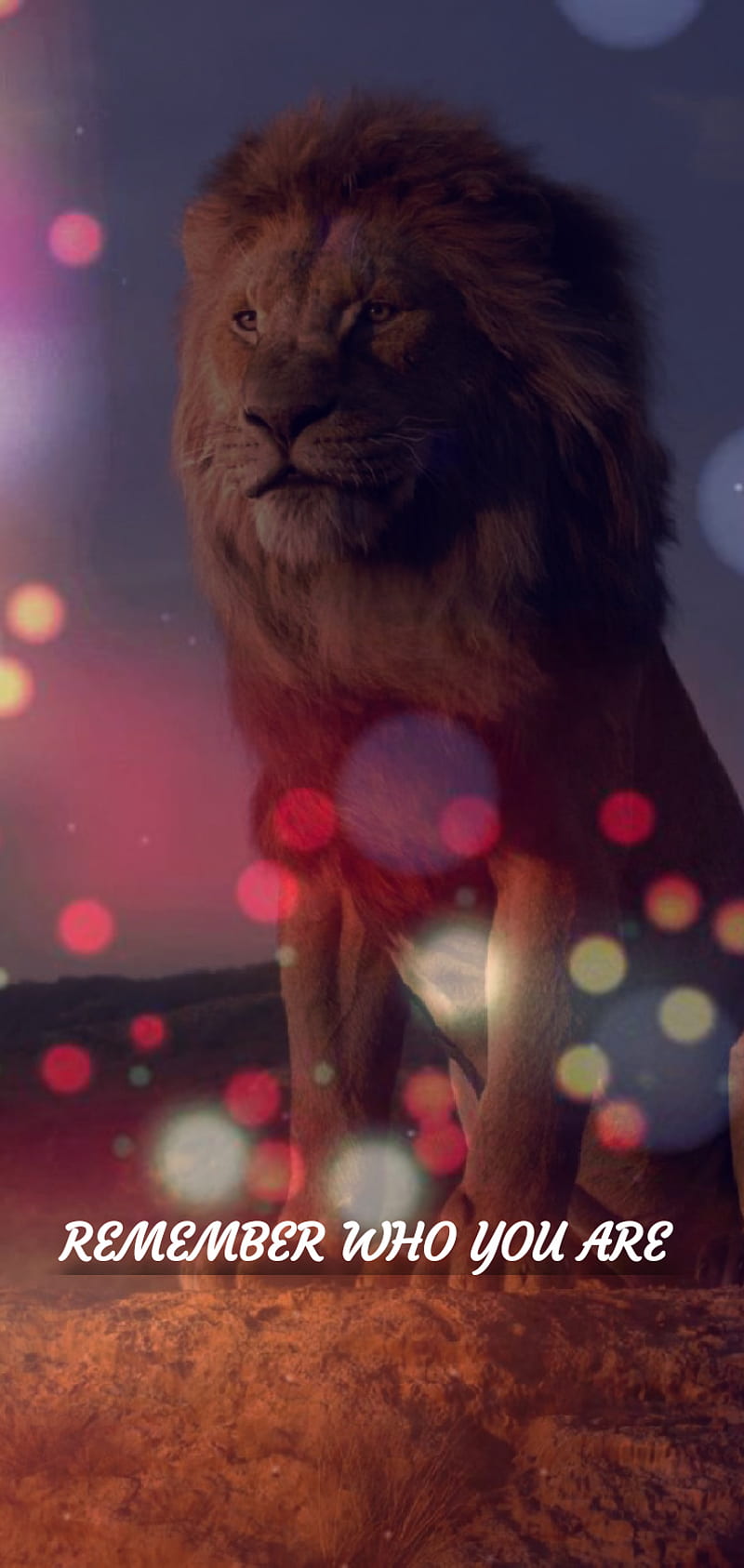 Lion king, lino king, mufasa, quotes, simba, HD phone wallpaper | Peakpx