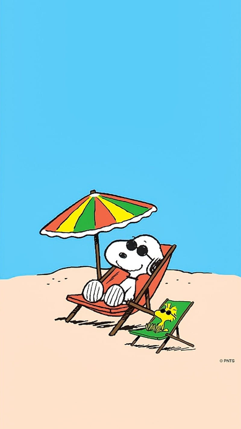 Aekkalisa on Snoopy. Snoopy , Snoopy , Snoopy funny, Peanuts Summer, HD phone wallpaper