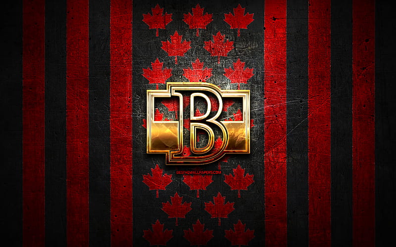 Belleville Senators flag, AHL, red black metal background, canadian hockey team, Belleville Senators logo, Canada, hockey, golden logo, Belleville Senators, HD wallpaper