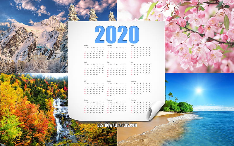 2020 Calendar, all months, 2020 Year, 4 Season concepts, calendar for 2020, 4 seasons background, HD wallpaper