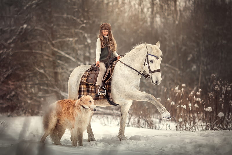 Little Girl, Horse, Snow, Dog, Winter, HD wallpaper