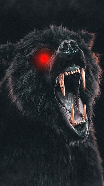 HD scary animal wallpapers | Peakpx