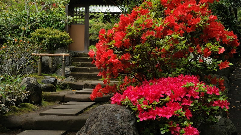 Japanese Garden, gate, autumn, japan, japanese, pure, garden, nature, HD wallpaper