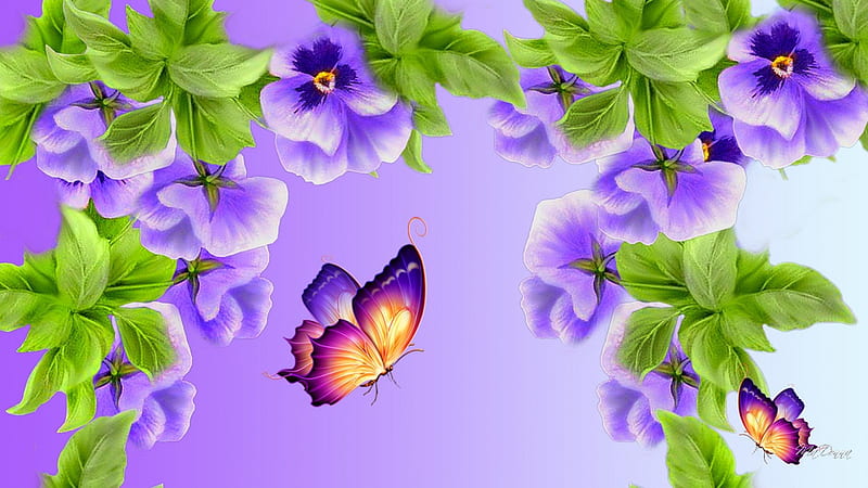 Violet Pansies, lilac, fresh, spring, lavender, pansy, butterfly, purple, summer, pansies, flowers, violet, HD wallpaper