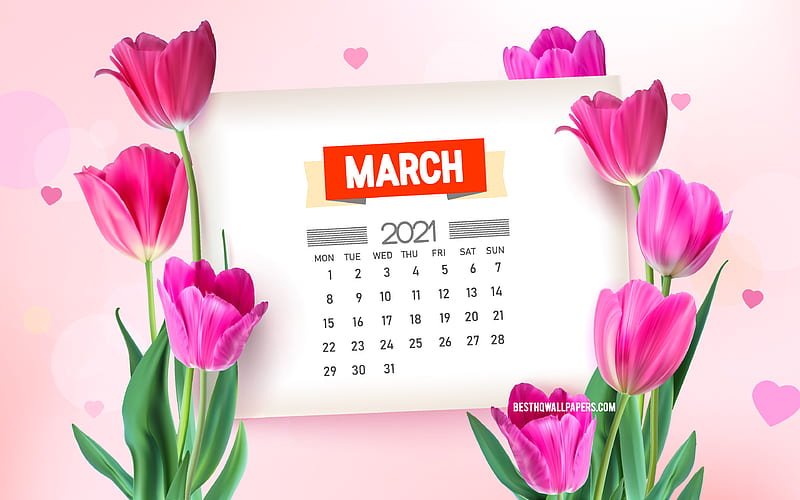 March 2021 Calendar pink tulips, spring background with tulips, March, 2021 spring calendars, spring flowers, 2021 March Calendar, HD wallpaper