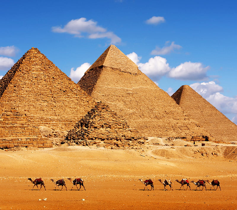 The Pyramids, africa, camel, desert, egypt, egyptian, pyramid, sand, HD wallpaper