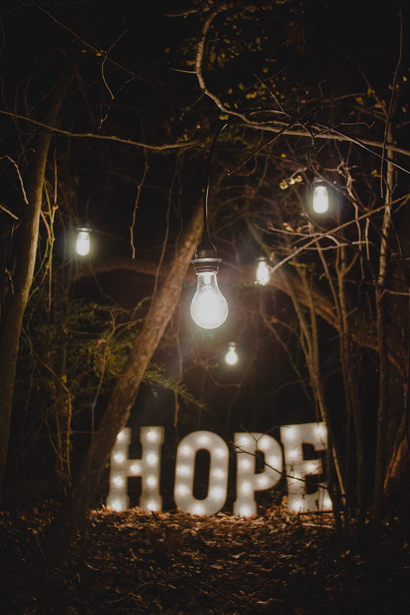hope, words, lamp, forest, HD phone wallpaper