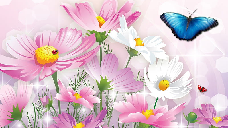 Sharing the Wildflower Garden, wild flowers, fragrant, spring, daisies, butterfly, summer, chamomile, flowers, garden, cosmos, pink, ladybugs, HD wallpaper