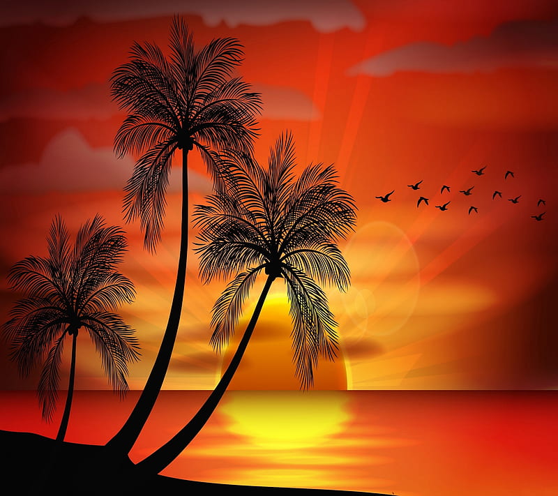 Tropical Paradise, HD wallpaper