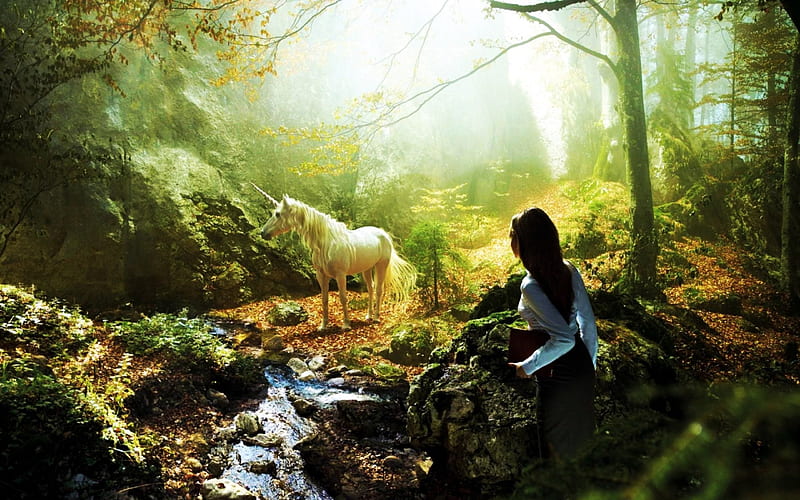 The Unicorn is Omnipresent, girl, horn, sunrise, trees, horse, artwork, light, HD wallpaper