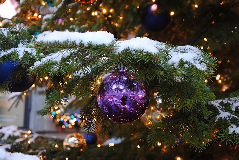 Purple light, ball, purple, green, snow, fir tree, light, HD wallpaper