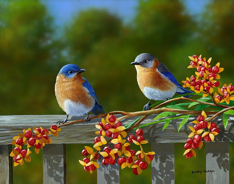 Spring birds, pretty, fence, lovely, fresh, birds, bonito, spring, trees,  cute, HD wallpaper | Peakpx