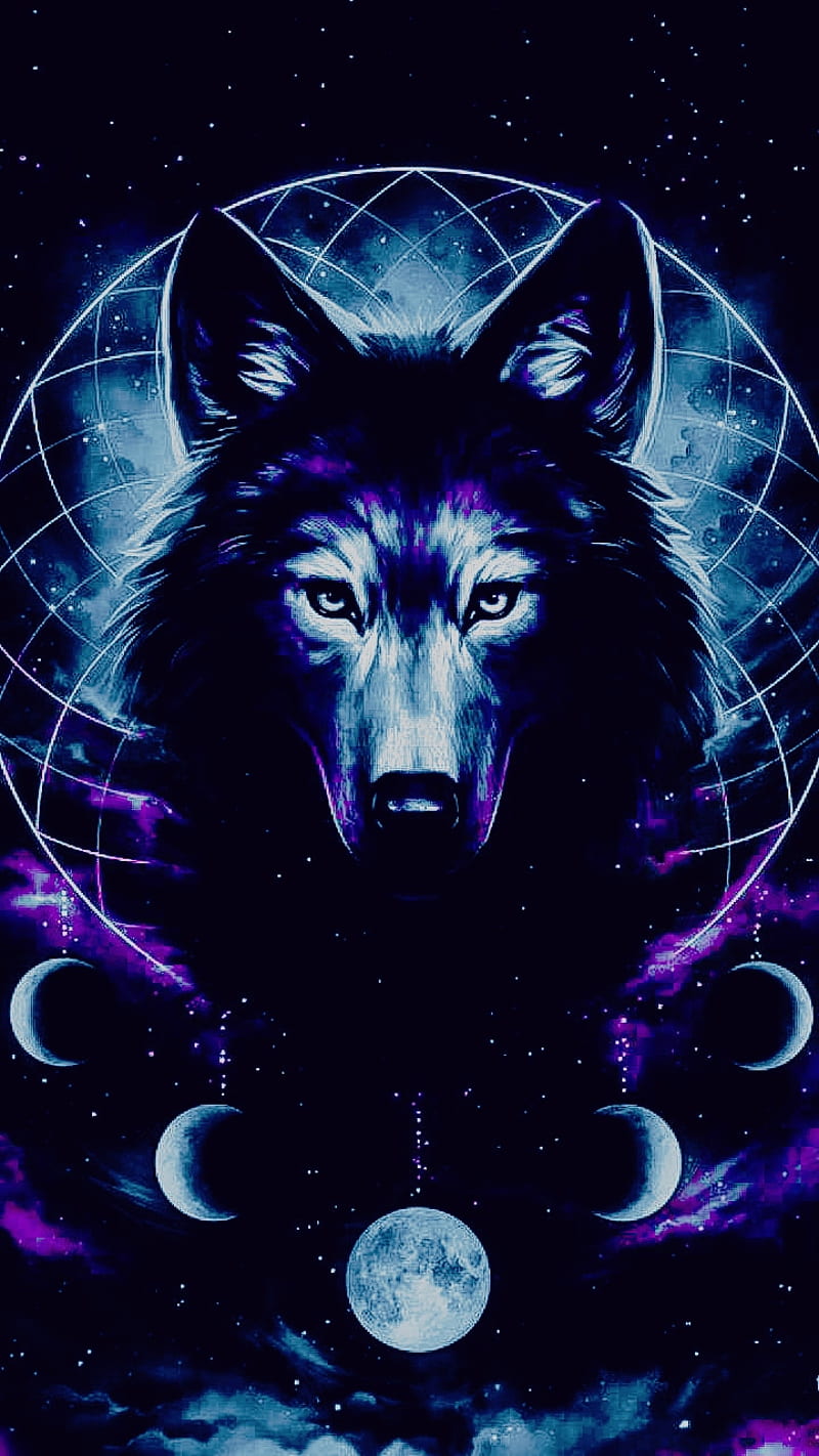 1920x1080px, 1080P free download | The Wolf, cloud, lone, moon, ice, HD ...