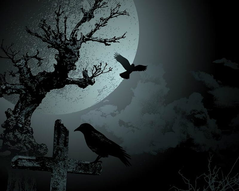 Night crows аутентификация. К Night Crows готов.