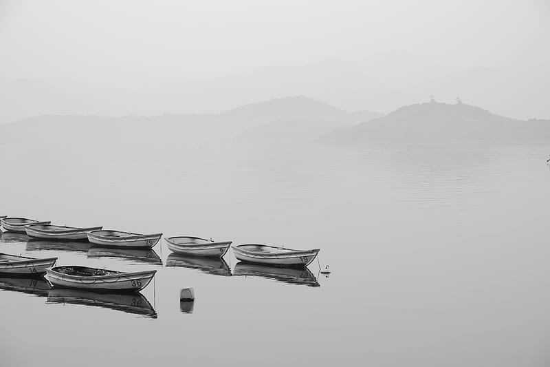 white row boats inline on body of water during foggy weather, HD wallpaper