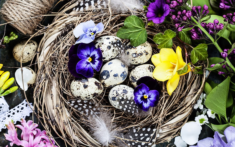 Happy Easter!, egg, nest, yellow, flower, easter, pansy, card, blue, HD wallpaper