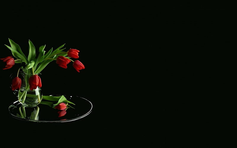 Still Life, red, graphy, black background, flowers, jug, tulips, HD wallpaper