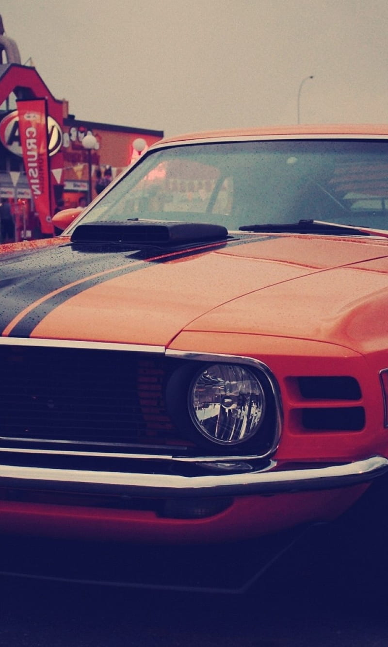 Mustang, ford mustang, HD phone wallpaper | Peakpx