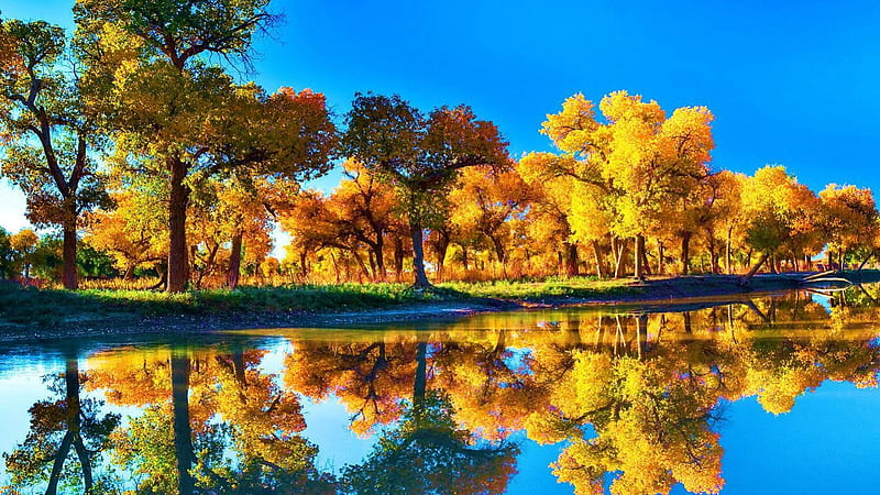 Lake Louise, fall, autumn, leaves, colors, reflection, trees, HD wallpaper