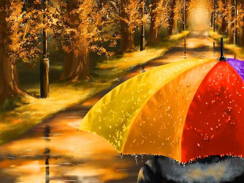 Under the rain, fall, autumn, falling, umbrella, bonito, drops, foliage, afternoon, leaves, nice, calm, lovely, wuiet, park, trees, rainy, under, serenity, rain, alley, HD wallpaper
