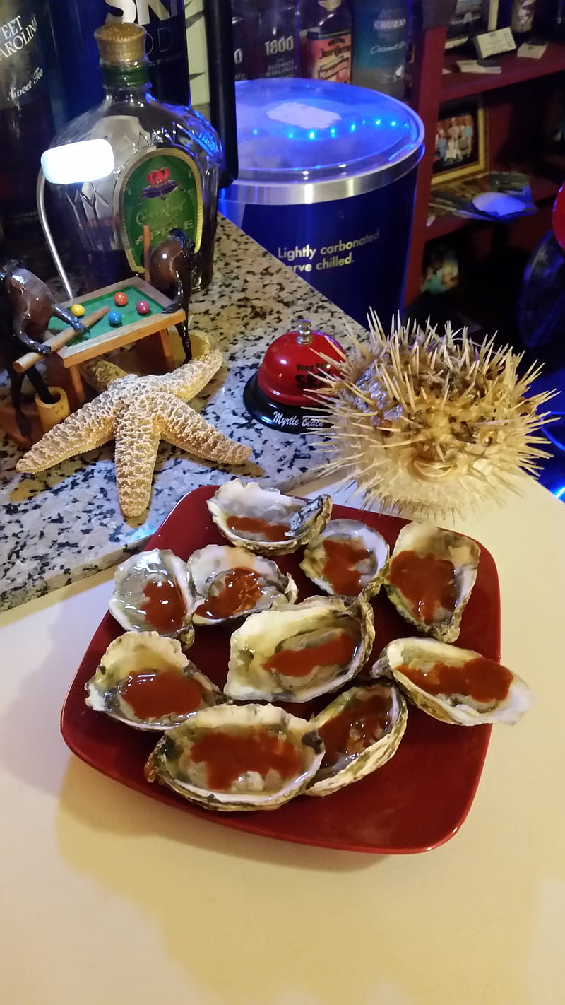 Oysters Latin style, cake, chef, delicious, food, limon, new, seafood, valentina, HD phone wallpaper