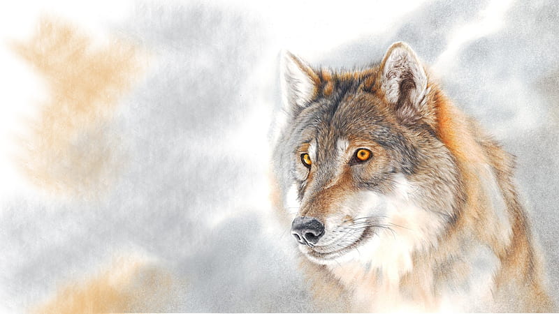 Colored Pencil Wolf, lobo, Firefox theme, art, pencil, wild, wolf, wolves, loup, HD wallpaper