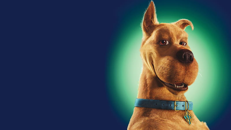 Baby Shaggy Rogers and Scooby Doo Wallpaper HD Movies 4K Wallpapers Images  and Background  Wallpapers Den