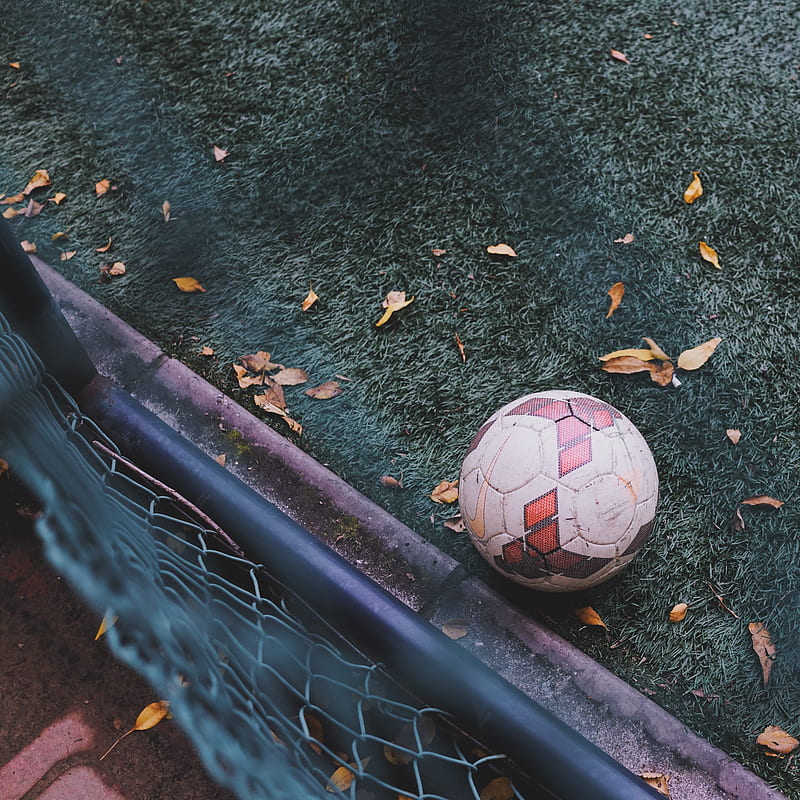 white and red soccer ball on green grass, HD phone wallpaper