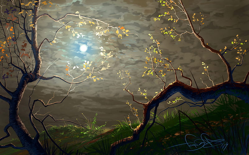 sun, clouds, art, branches, trees, HD wallpaper