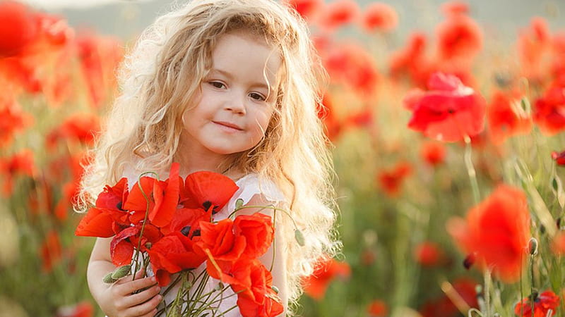 Cute Little Girl With Red Poppy Flowers Standing In Blur Red Poppy Flowers Field Wearing White Dress Cute, HD wallpaper
