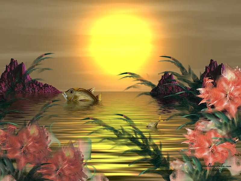 Sunset, sun, refecting, fish, flower, coral, HD wallpaper