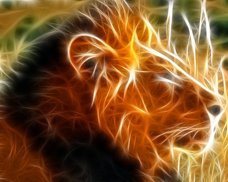 3D Lion, abstract, HD wallpaper | Peakpx