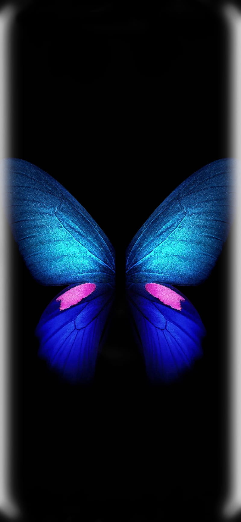Samsung galaxy Fold, 10, blue, butterfly, edge, note, plus, s10, HD phone wallpaper