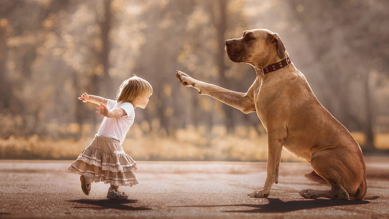 Jump!, little, caine, animal, play, cute, big, girl, andy seliverstoff, copil, child, funny, jump, dog, HD wallpaper