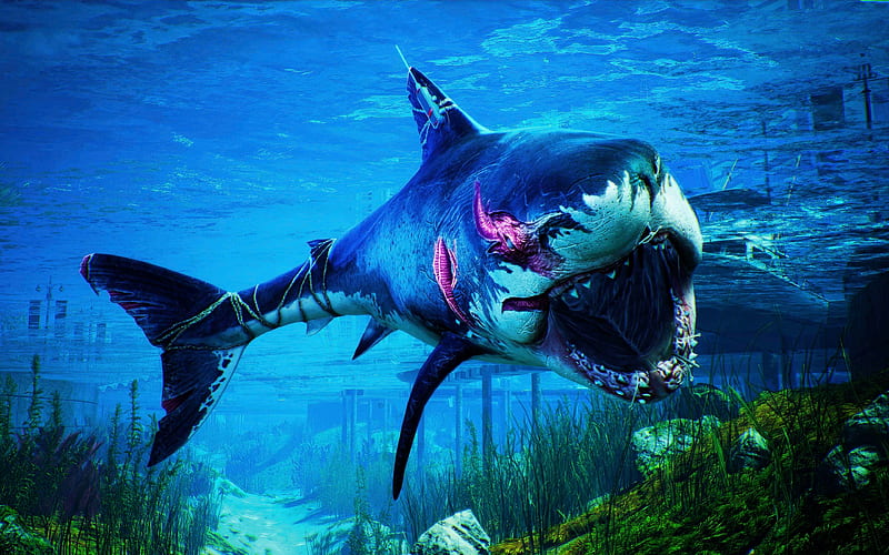 Great white shark 3D art, monsters, underwater world, fish, wildlife, predatory fish, shark, predators, Carcharodon carcharias, sea, HD wallpaper