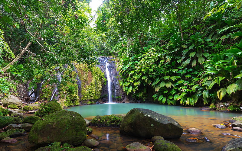 waterfall, lake, rainforest, jungle, Cascade Bis, Sainte-Rose, Guadeloupe, HD wallpaper