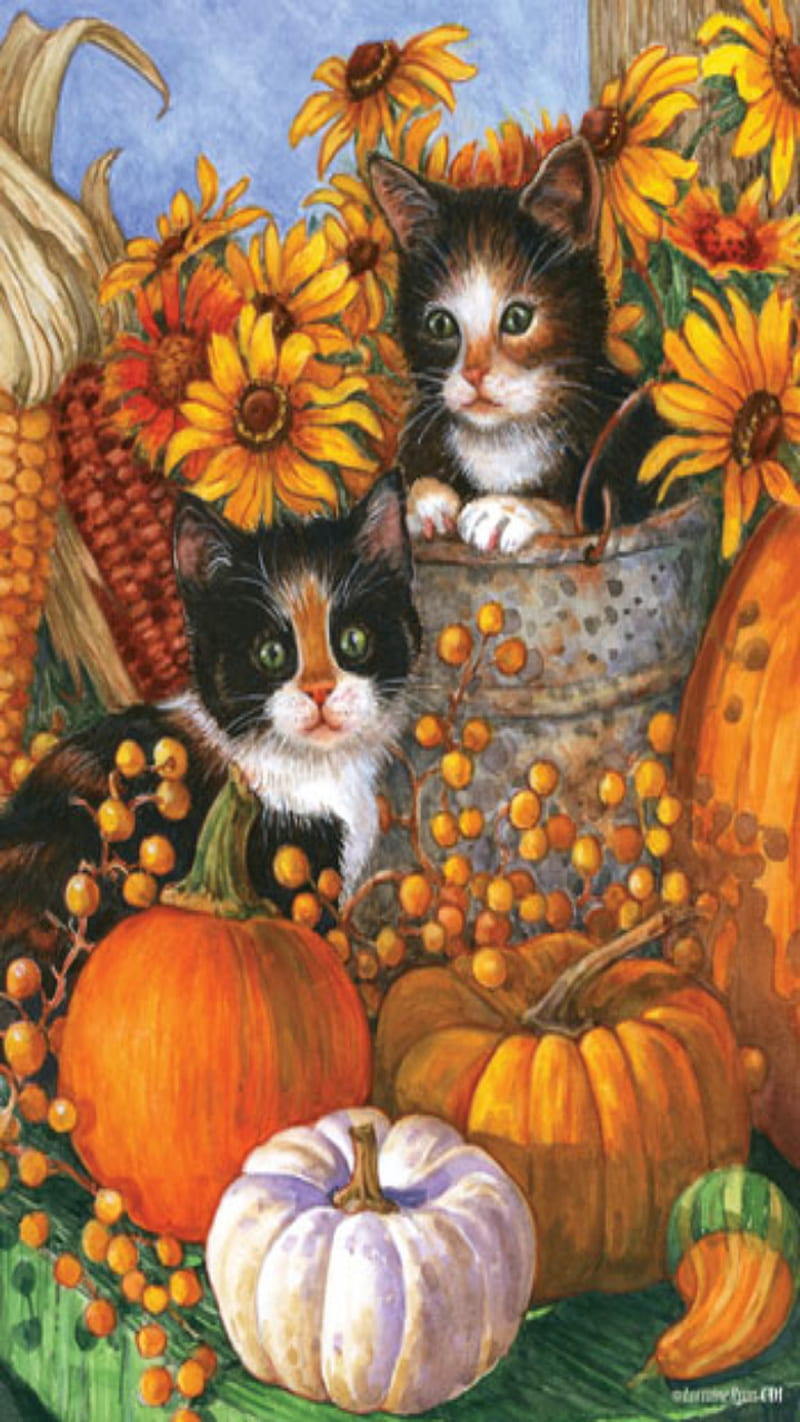 autumn cats, HD phone wallpaper