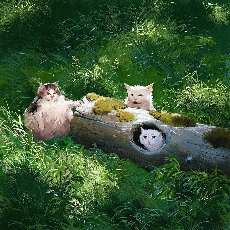 cats, memes, nature, trees, grass, humor, HD phone wallpaper