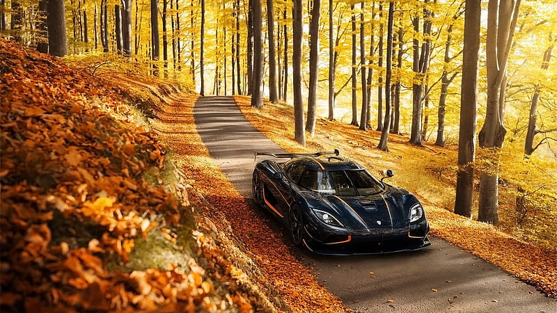 Những hình nền HD xe Koenigsegg agera rs, rừng, mùa thu, xe hơi sẽ khiến cho trái tim của những người yêu thích xe hơi thổn thức. Trong những cảnh quan đầy màu sắc của rừng mùa thu, chiếc xe với thiết kế tinh xảo và sang trọng của Koenigsegg agera rs toát lên vẻ đẹp tuyệt vời.