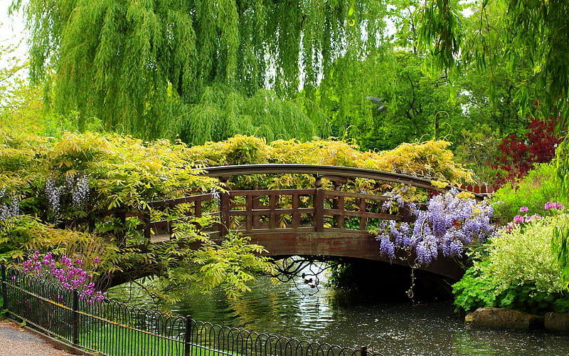 Queen Mary's Garden., fence, tree, willow, bridge, flower, path, garden, park, HD wallpaper