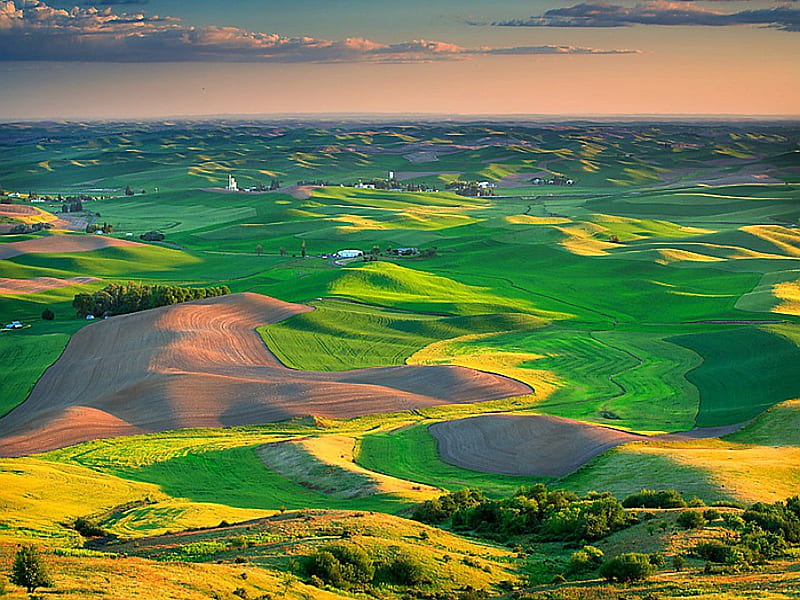 Diverse Fields, sun, sunlights, orange, yellow, sunset, cenario, countryside, nice, scenario, village, temple, cities, sunrise, plantations, hills, houses, cena, panorama, cool, awesome, hop, white, landscape, commonwealth, colorful, gray, farming, cultures, farms, bonito, graphy, city, green, people, husbandry, fields, scenery, blue amazing, colors, church, downhills, agricultural, tilths, agriculture, plants, diverse, plows, nature, natural, scene, tillage, HD wallpaper