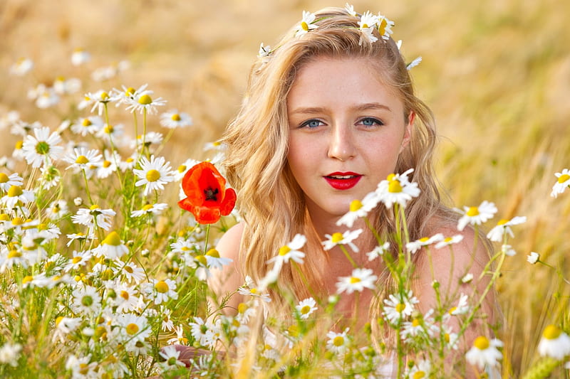 Beautiful Meadow , poppy, dasies, beauty, field, women, HD wallpaper