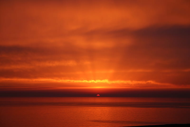 Dramtic Orange Sky Beach Sunset, sunset, beach, sky, nature, HD wallpaper