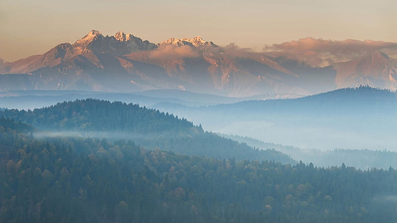 fog over foothills, hills, forests, mountains, fog, HD wallpaper