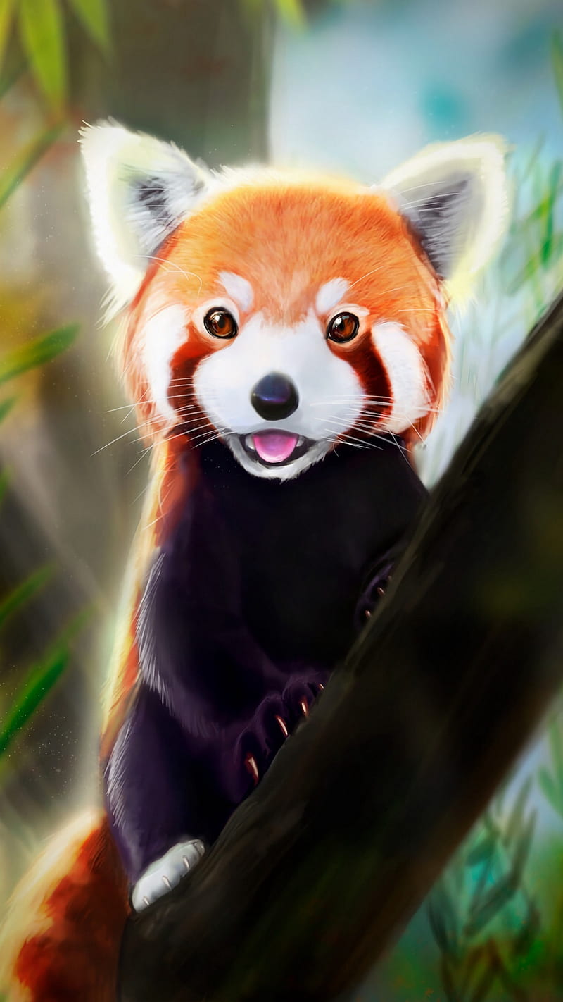 Red Panda Wallpaper HD 28174 - Baltana