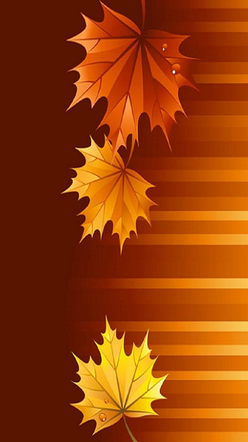 Autumn Leaves Hd Phone Wallpaper Peakpx