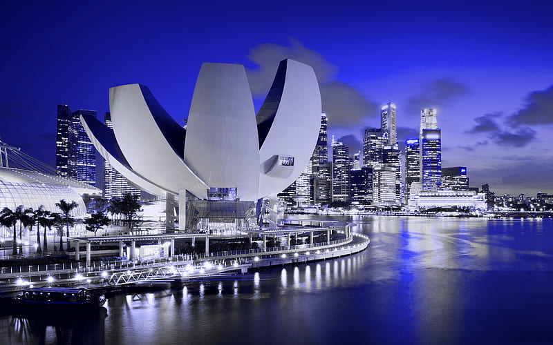 Singapore, ArtScience Museum, night, cityscape, Marina Bay, modern architecture, HD wallpaper